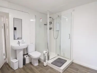 a bathroom with a shower and a toilet and a sink at Plas Yn Bonwm in Corwen