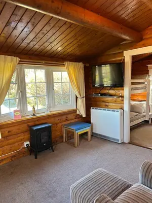 a living room with a couch and a tv in a cabin at Eryri Retreat in Trawsfynydd