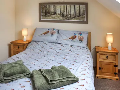 a bedroom with a bed with two night stands and two lamps at Cothi Cottage - Uk49588 in Llansawel