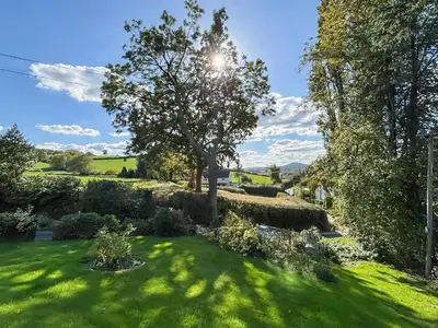 a green yard with a tree in the middle at Brithdir in Welshpool