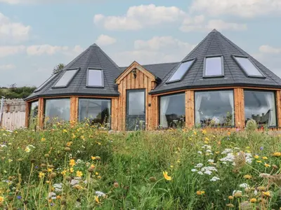 a house with windows and a field of flowers at Yr Awen - Inspiration in Lampeter