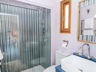 a bathroom with a shower and a toilet and a sink at Brondel Luxury Shepherd's Hut in Aberystwyth