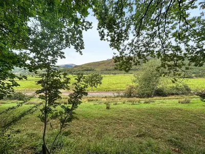 a field of grass with a tree in the foreground at The Owl's Nest - Uk50546 in Machynlleth