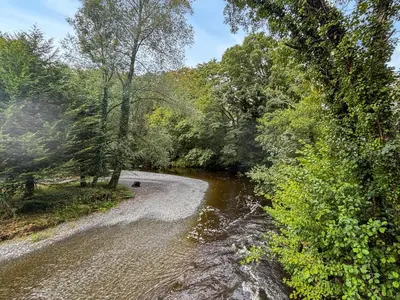 a stream of water with trees on the side at The Owl's Nest - Uk50546 in Machynlleth