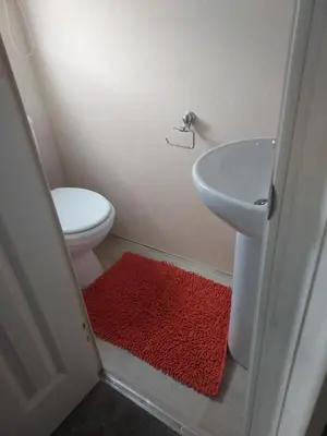 a bathroom with a toilet and a sink and a red rug at Rosie's Rest in Aberaeron