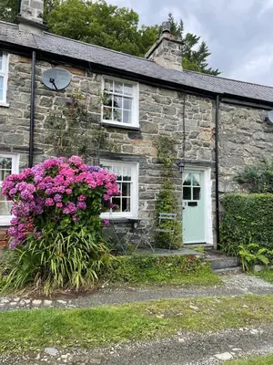 a stone house with pink flowers in front of it at Patchwork cottage - Grade 2 listed cottage in Snowdonia in Maentwrog