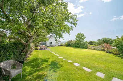 a lawn with a tree and a bench in a yard at Bryn-Yr-Aur in Llanfair