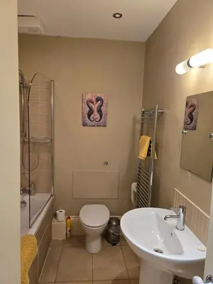 a bathroom with a sink and a toilet and a shower at Seaview Apartment in Aberystwyth