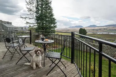 a dog sitting on a deck with a table and chairs at Rheithordy in Blaenau-Ffestiniog