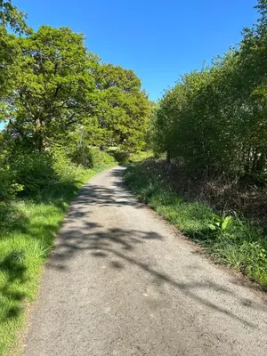 a dirt road with trees on either side at Ty Bach in Llanwrtyd Wells