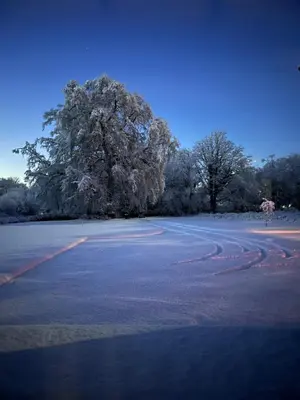 an empty parking lot with a tree in the background at Ty Bach in Llanwrtyd Wells