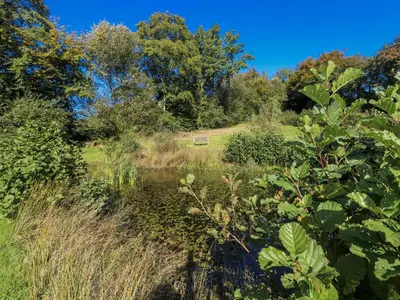 a pond in the middle of a field with trees at Dwrgi in Llanybydder
