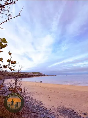 a view of a beach with a sign on it at Preselli 5- Quay West Holiday Park, New Quay in New Quay