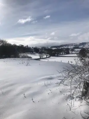 a field covered in snow with trees in the distance at Hyssington Heights in Hyssington