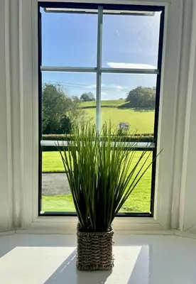 a plant in a basket in front of a window at Ty Newydd in Llangyniew