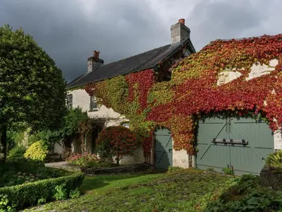 an ivy covered house with a green garage at West Cottage in Llandovery