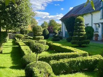 a garden with trimmed hedges and a house at West Cottage in Llandovery