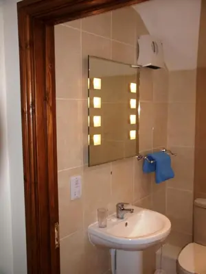 a bathroom with a sink and a mirror and a toilet at Hobby Stable Cottage in Cynghordy