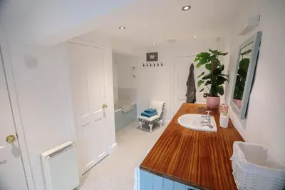 a bathroom with a sink and a potted plant on a counter at Pepper House Rooms - shared facilities - pet friendly in Ludlow
