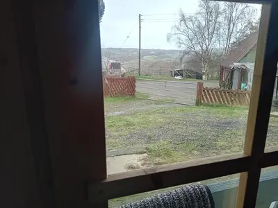 a view of a yard from a window at Alpaca Hideaway in Newtown