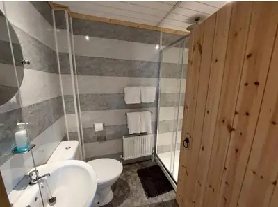a bathroom with a toilet and a sink at Deer Cabin-hot tub-dog friendly-mountain view in Llanbrynmair