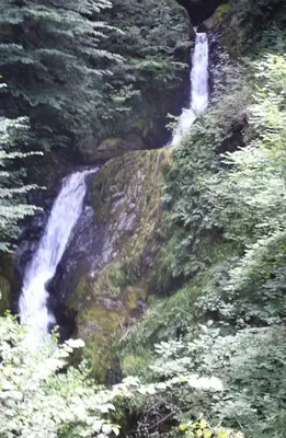 a waterfall on the side of a hill with trees at Deer Cabin-hot tub-dog friendly-mountain view in Llanbrynmair