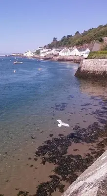 a white bird swimming in the water near a beach at Deer Cabin-hot tub-dog friendly-mountain view in Llanbrynmair