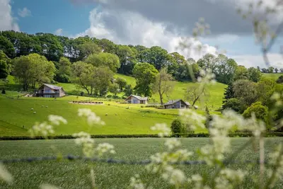a field of green grass with houses on a hill at Llety-Bugail in Montgomery