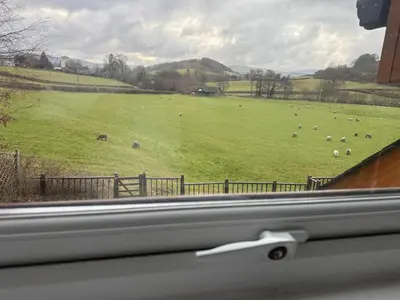 a view of a field with a herd of animals at Swn yr Coed in Sennybridge