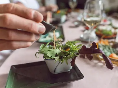 a person sitting at a table with a plant at Belmont House in Hay-on-Wye