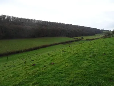 a group of animals grazing in a green field at Willey Lane Farm in Lingen