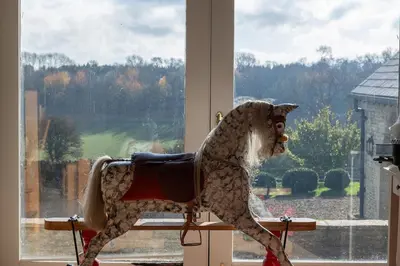 a dog dressed as a horse standing in front of a window at Blackhill barn - in the heart of the Cotswolds in Craswall