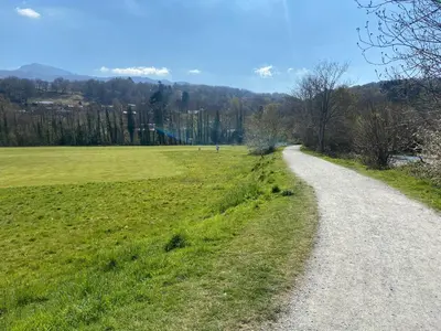 a dirt road next to a grassy field at Log Cabin in Beautiful Snowdonia in Trawsfynydd