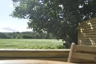 a bench sitting in front of a field with a tree at Lavender Lodge