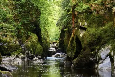 a river in a forest with rocks and trees at Lavender Lodge