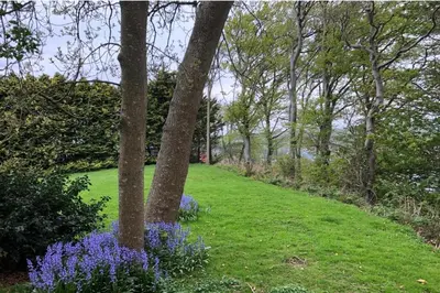 a garden with purple flowers in the grass at 3 Bed Harbour-view Cottage Sleeps 6 - Dog Friendly in New Quay
