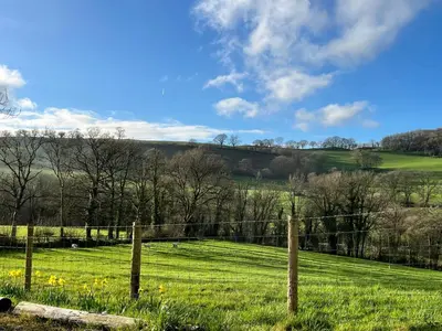 a field of green grass with a fence and trees at Oakies Farm Stays XL in Llandovery