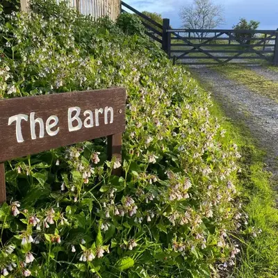 Oakies Farm Stays XL