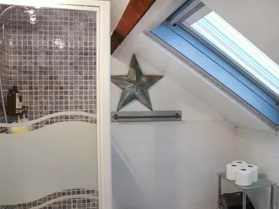 a bathroom with a star fish on the wall at Brig Y Don in Borth