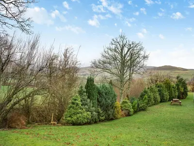 a row of christmas trees in a yard at Arenig View - Uk51068 in Frongoch