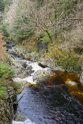 a view of a river with rocks and trees at Ferndale Cottage in Church Stretton