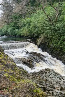 a river with rapids on the side of a mountain at Ferndale Cottage in Church Stretton