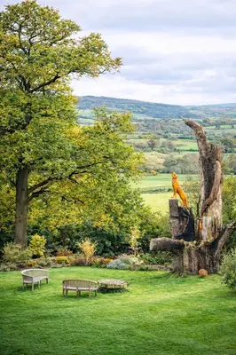 a statue of a lion sitting on top of a rock at Baskerville Hall Hotel in Clyro
