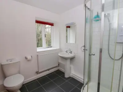 a bathroom with a toilet and a sink and a shower at The Old Sunday School in Brecon
