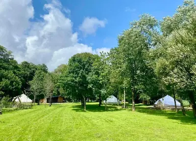 a field with trees and tents in the background at Nesta's Nook in Llandovery