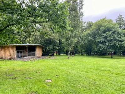 a building in the middle of a field with trees at Nesta's Nook in Llandovery