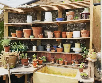 a bunch of potted plants are sitting on shelves at Off Grid living high in the hills in Picklescott