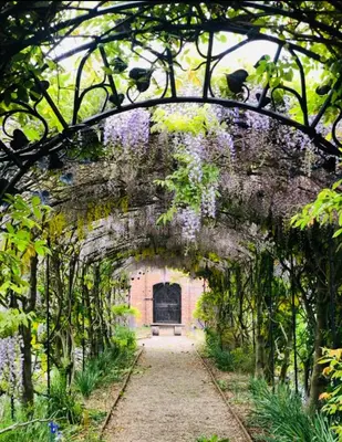 an archway covered in flowers in a garden at Cosy Cottage with Log Fire Near Hay-on-Wye in Almeley