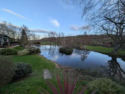 a view of a pond in a yard with a house at The Little lodge on the lake in Welshpool