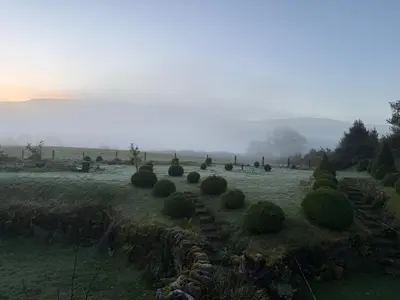 a field with a bunch of bushes in the grass at Y Beudy - A Converted Barn in the Brecon Beacons in Brecon